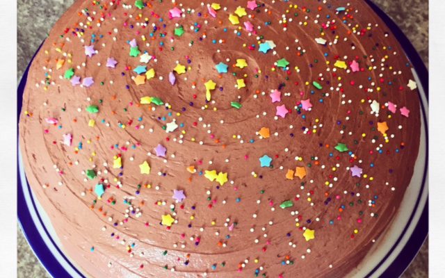 World’s Best (& Easiest!) Chocolate Cake