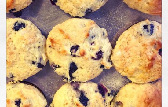 Martha’s Blueberry Muffins