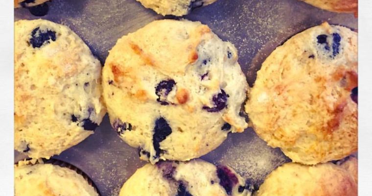 Martha’s Blueberry Muffins